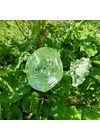 Extra nagy méretű 35 cm átmérőjű üveg virág kültérre transzparens-fehér színben 100 cm -es rozsdamentes acélszáron