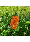 Extra nagy méretű 35 cm átmérőjű üveg virág kültérre piros-narancs-fehér színben 100 cm -es rozsdamentes acélszáron