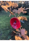 Közepes méretű üveg kála virág kültérre piros-fekete színben 