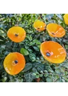 Medium size funnel shaped glass flower for outdoor use in yellow-orange colour with 43 cm stainless steel stem