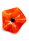 Kis méretű üveg csillagvirág beltérre narancssárga színben 43 cm -es rozsdamentes acélszáron