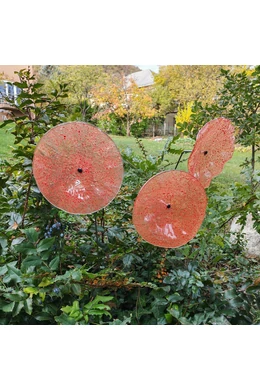 Nagy méretű 18 cm átmérőjű üveg virág kültérre transzparens- narancssárga-piros színben 100 cm -es rozsdamentes acélszáron