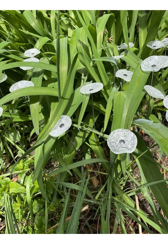 Kis méretű kerek üveg virág kültérre transzparens- fehér színben 43 cm -es rozsdamentes acélszáron