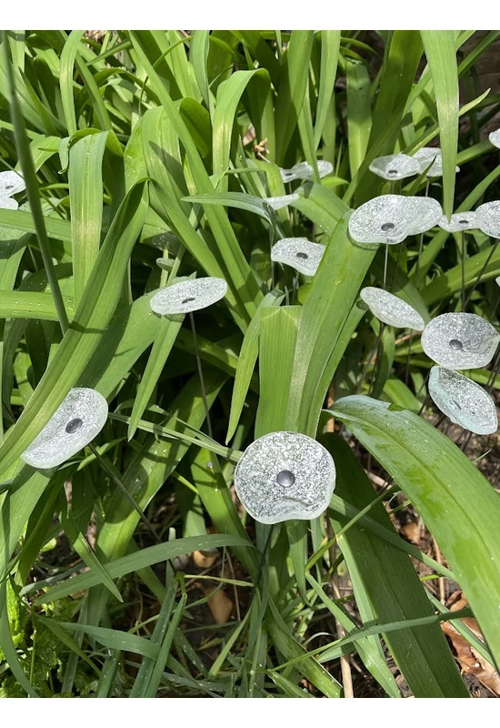 Kis méretű kerek üveg virág kültérre transzparens- fehér színben 43 cm -es rozsdamentes acélszáron