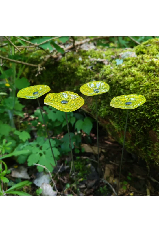 Kis méretű kerek üveg virág kültérre transzparens- almazöld-sárga színben