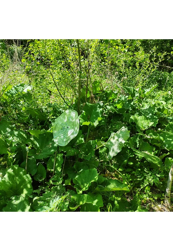 Extra nagy méretű 35 cm átmérőjű üveg virág kültérre transzparens-fehér színben 100 cm -es rozsdamentes acélszáron
