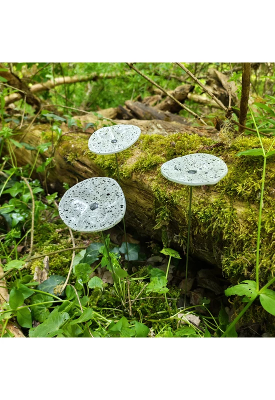Fehér alapszínű ovális üvegvirág,  fekete pöttyökkel
