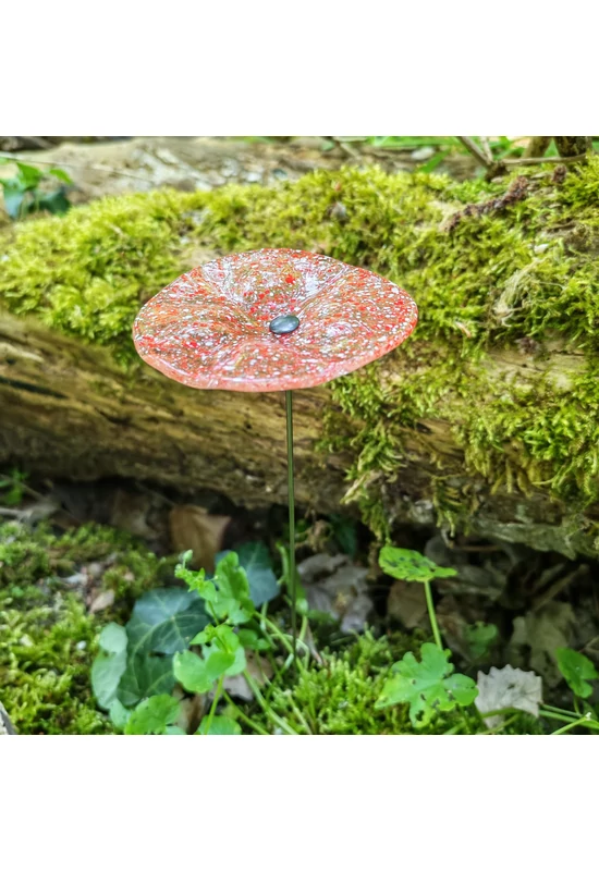 Transzparens alapszínű ovális üvegvirág  vörös-fehér pöttyökkel