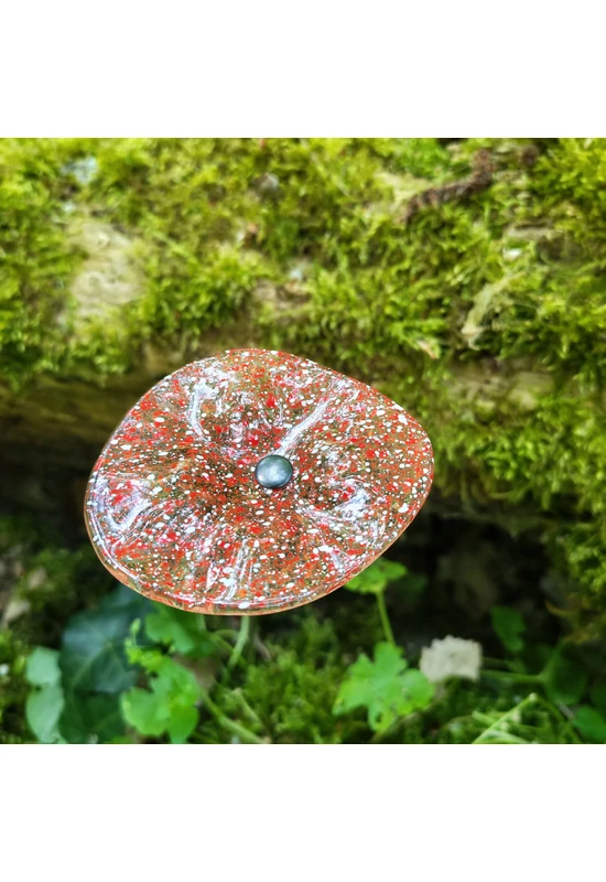 Transzparens alapszínű ovális üvegvirág  vörös-fehér pöttyökkel