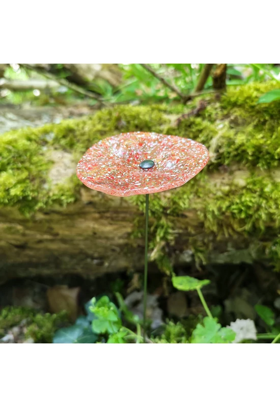 Transzparens alapszínű ovális üvegvirág  vörös-fehér pöttyökkel