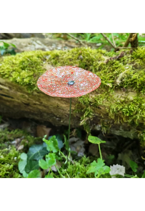 Transzparens alapszínű ovális üvegvirág  vörös-fehér pöttyökkel