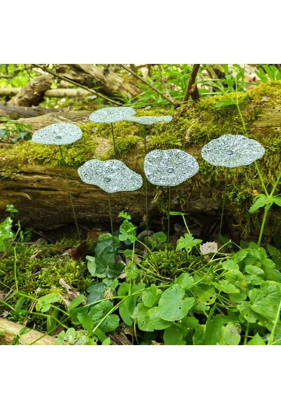 Transzparens alapszínű ovális üvegvirág  fehér-fekete pöttyökkel