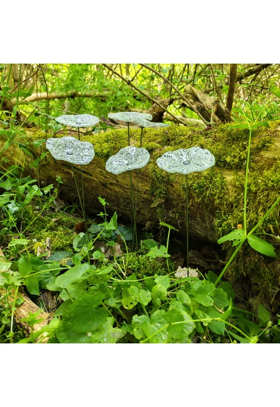 Transzparens alapszínű ovális üvegvirág  fehér-fekete pöttyökkel