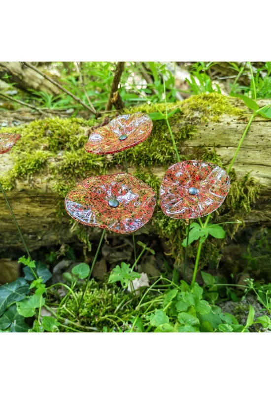 Transzparens alapszínű ovális üvegvirág  vörös-fekete pöttyökkel
