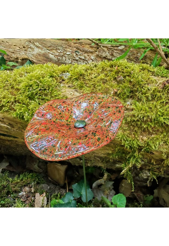 Transzparens alapszínű ovális üvegvirág  vörös-fekete pöttyökkel