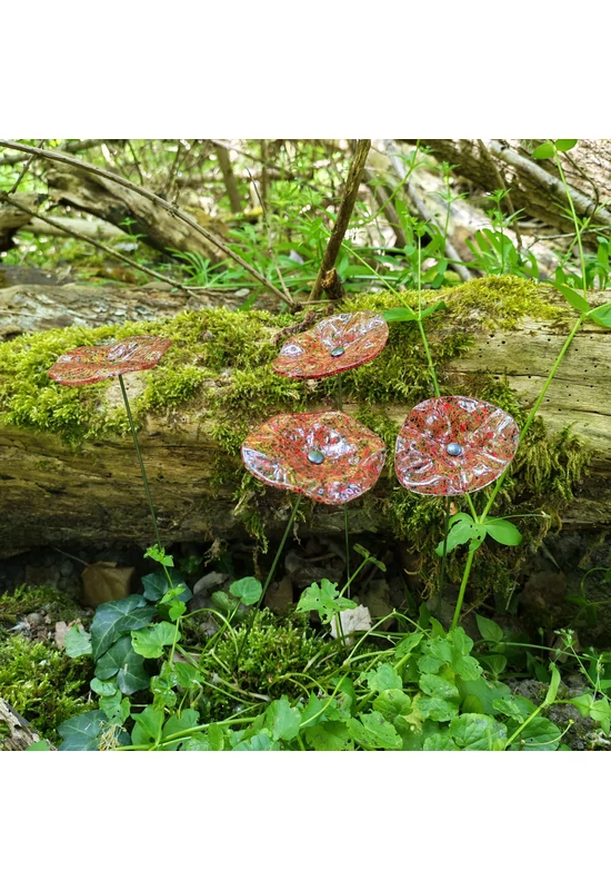Transzparens alapszínű ovális üvegvirág  vörös-fekete pöttyökkel