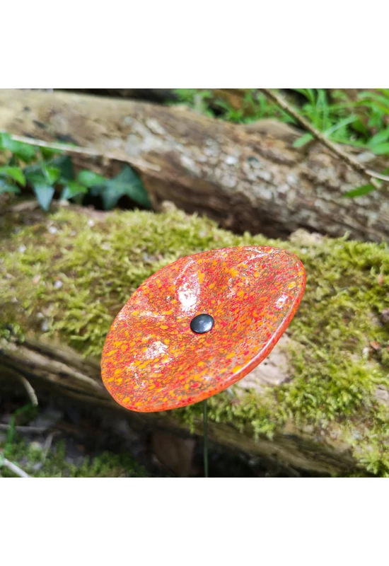 Transzparens alapszínű ovális üvegvirág  narancs-vörös pöttyökkel