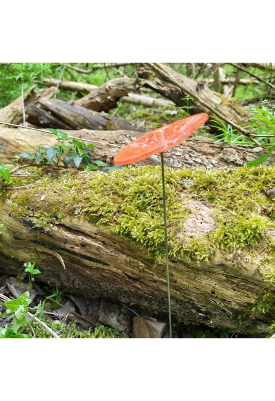 Transzparens alapszínű ovális üvegvirág  narancs-vörös pöttyökkel