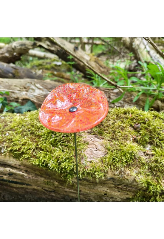 Transzparens alapszínű ovális üvegvirág  narancs-vörös pöttyökkel