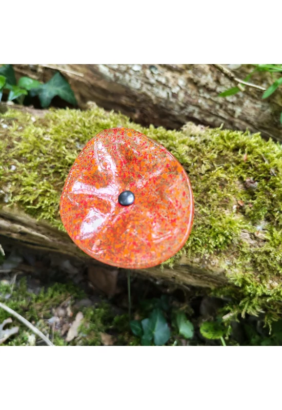 Transzparens alapszínű ovális üvegvirág  narancs-vörös pöttyökkel