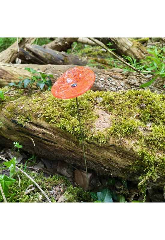 Transzparens alapszínű ovális üvegvirág  narancs-vörös pöttyökkel