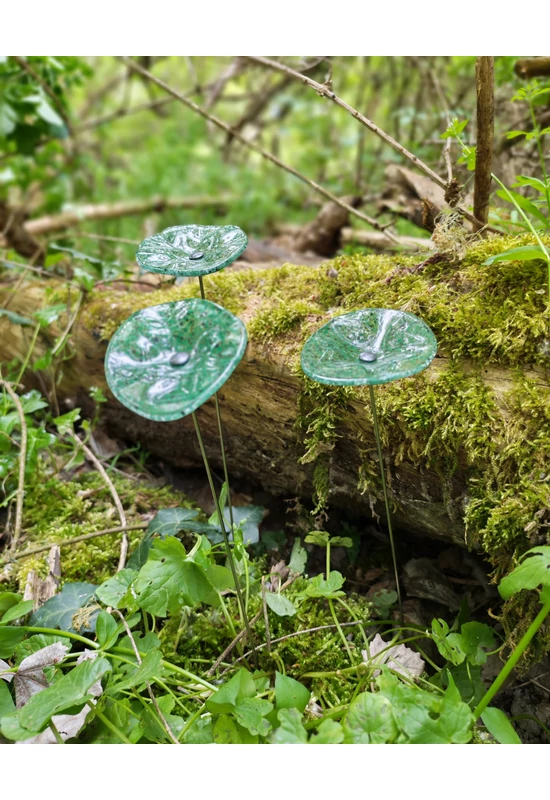 Transzparens alapszínű ovális üvegvirág  zöld-fekete pöttyökkel