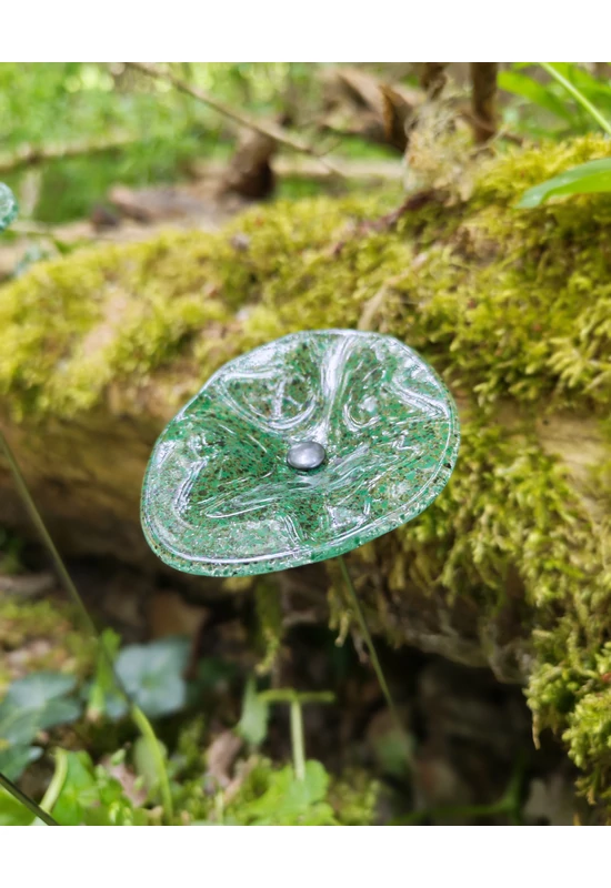 Transzparens alapszínű ovális üvegvirág  zöld-fekete pöttyökkel
