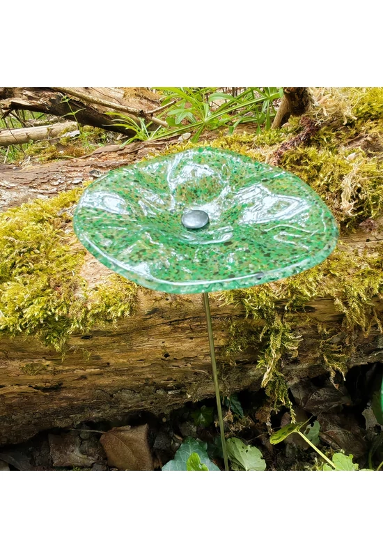 Transzparens alapszínű ovális üvegvirág  zöld-fekete pöttyökkel