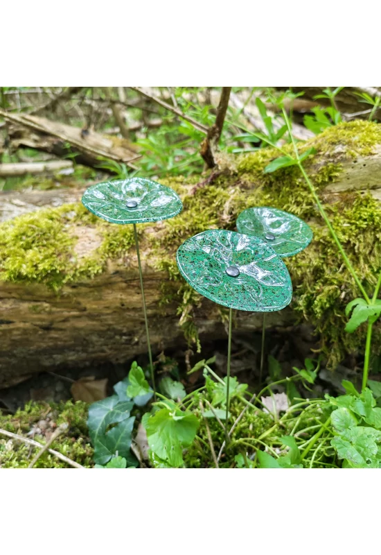 Transzparens alapszínű ovális üvegvirág  zöld-fekete pöttyökkel