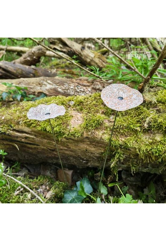 Transzparens alapszínű ovális üvegvirág , fehér-narancs pöttökkel