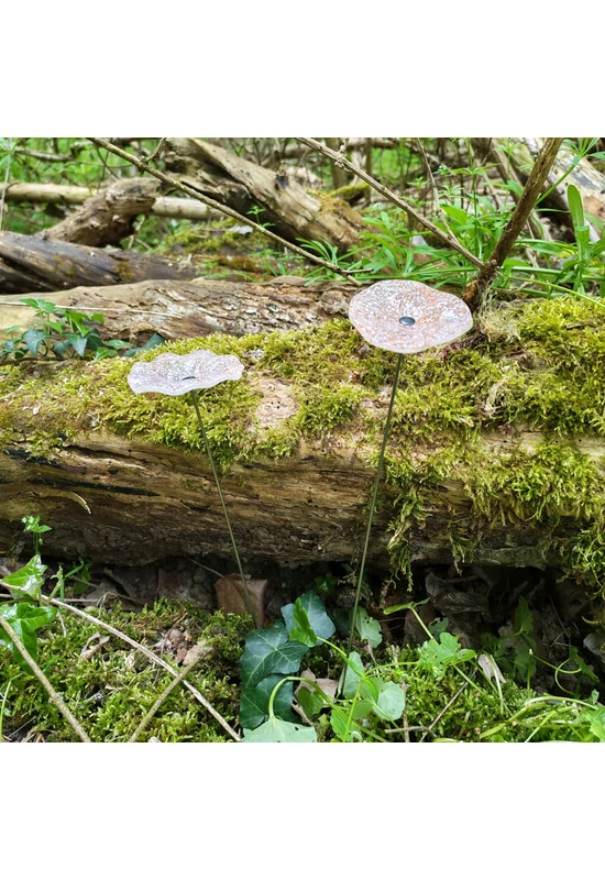 Transzparens alapszínű ovális üvegvirág , fehér-narancs pöttökkel